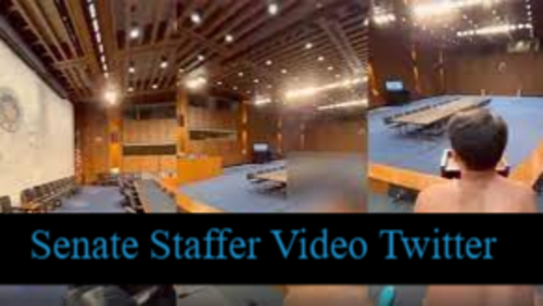 Senate Staffer Video Twitter